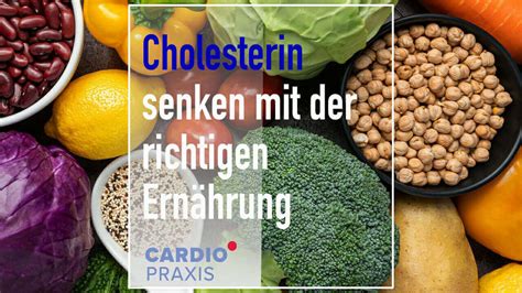 cholesterin senken ernährung